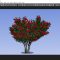 Pixarra TwistedBrush Tree Studio 4.12 Win x64 Free Download