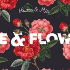 Source & Mix Botanical Illustrations with Typography to Create Trendy Designs