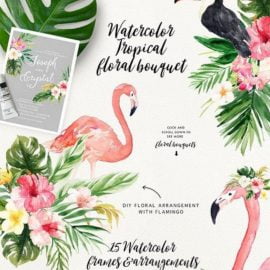 Summer Design Set-Tropical Free Download