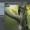 The Gnomon Workshop Creating High-Resolution Custom Trees Using SpeedTree Free Download