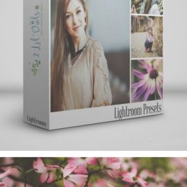 2lilowls Dreamy Matte Lightroom Presets Free Download