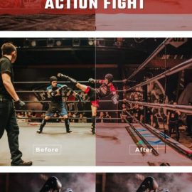 Action Fight LUTs and Lightroom Presets Free Download