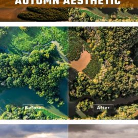 Autumn Aesthetic LUTs and Lightroom Presets Free Download