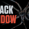 Black Widow – Model, Texture, Rig and Animate a Spider in Cinema 4D Free Download