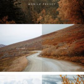 Chris Henry Photography Forest & Foliage Preset Desktop Free Download