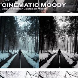 Cinematic Moody Lightroom Presets & LUTs Free Download