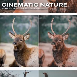 Cinematic Nature Lightroom Presets & LUTs Free Download