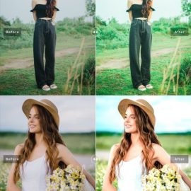 CreativeMarket Dianella Pro Lightroom Presets 7178682 Free Download