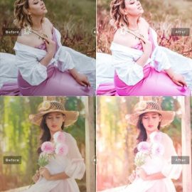 CreativeMarket Dicentra Pro Lightroom Presets 7178683 Free Download