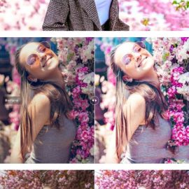 CreativeMarket Moss Rose Pro Lightroom Presets 7075193 Free Download