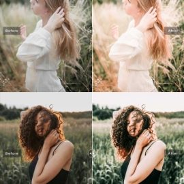 CreativeMarket Myrtle Pro Lightroom Presets 7091216 Free Download