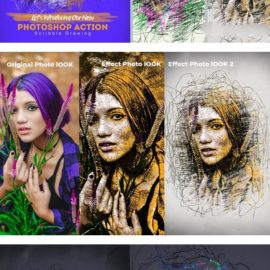 CreativeMarket Scribble Drawing Plugin 6724742 Free Download