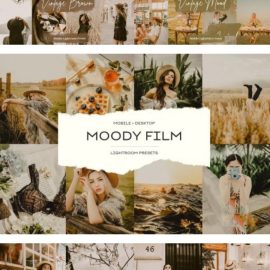 CreativeMarket Vintage Lightroom Presets Bundle 6789268 Free Download