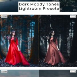 Dark Moody Tones Lightroom Presets Free Download