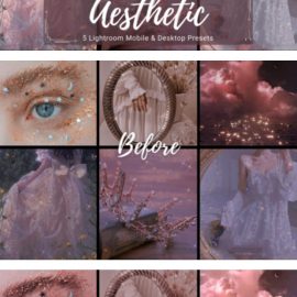 Lightroom Presets Vintage Look Free Download