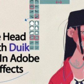 Simple Head Rig With Duik Bassel In Adobe After Effects