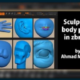 Skillshare – Sculpting Body Parts in Zbrush For Animation Ahamd Merheb Free Download