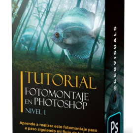 Gervisuals – Photomontage in Photoshop – Level 1