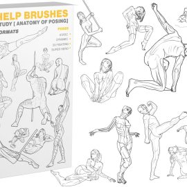 300 Help Brushes Vol.2 Study [ Anatomy of Posing]