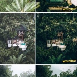 ARTA Bali Green Presets for Lightroom Free Download