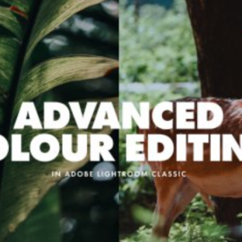 Adobe Lightroom Classic: Advanced Workflow & Tips for Enhancing Your Color Edits