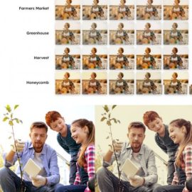 CreativeMarket 25 Aloe Honey Lightroom Presets LUTs 7331530 Free Download