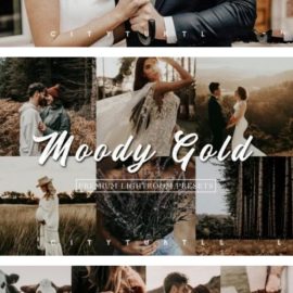 MOODY BUNDLE Portrait Lightroom Presets Free Download