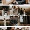 MOODY BUNDLE Portrait Lightroom Presets Free Download