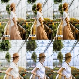 14 Stella Lightroom Presets Free Download