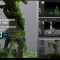 Artstation – Creating Old Growth Mossy Tree: Tutorial and Game Assets