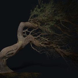 Artstation – Foliage Tree Creation in Maya and Zbrush Tutorial and Assets Free Download