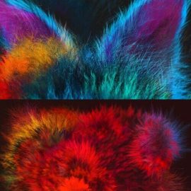 CreativeMarket Realistic FUR Brushes for Affinity 4814170 Free Download