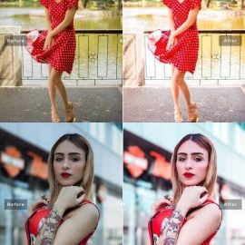 CreativeMarket Tayberry Pro Lightroom Presets 7473599 Free Download