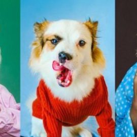 Dog Portraits at Home: Capture Creative Funny Photos of your Pet