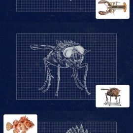 Fake Blueprint Photoshop Action Free Download