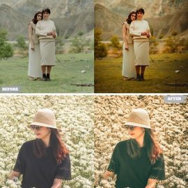 Film Presets Lightroom Presets Dekstop and Mobile Free Download