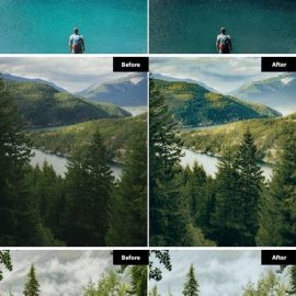 Forest 7 Landscape Lightroom and Photoshop Presets N8U9A6K Free Download