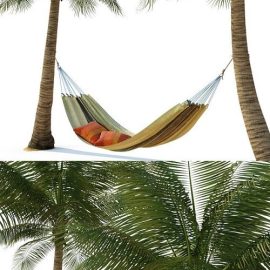 Hammock on palm trees Free Download