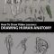 How to Draw: Drawing Human Anatomy by Aaron Blaise