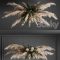 Pampas grass chandelier 01 Free Download