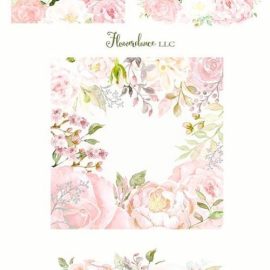 Shyly Blush Floral Collection 1438038 Free Download