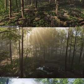 Unity Asset Nature Package Forest Environment Free Download