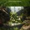 Unreal Engine UIPF Unified Interactive Physical Foliage Free Download