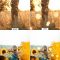 100 GOLDEN BOKEH OVERLAYS Free Download