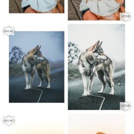 12 Mobile Lightroom Presets Huppy Puppy Free Download