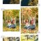 12 Yellow Autumn Lightroom Presets Free Download