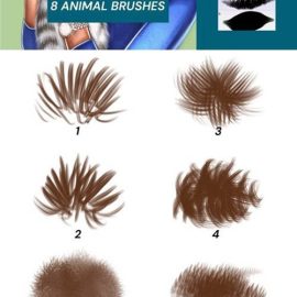 8 Animal Brushes Free Download