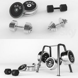 A set of sports dumbbells and pancakes on the racks Free Download