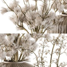 Bouquet Set 16 Dried Plants Free Download