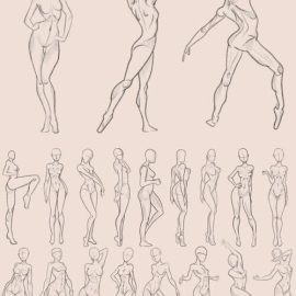 CreativeMarket Female Pose Procreate Brushes 10173815 Free Download